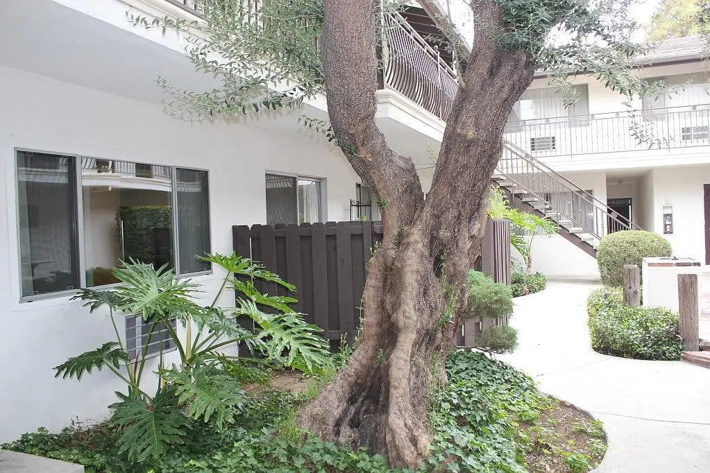 1 bed, 650 sqft, $1,950 — Photo 4