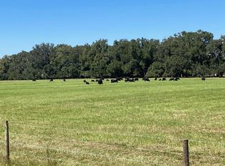 NW 7th St, Williston, FL 32696