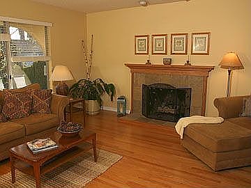Living Room Fireplace