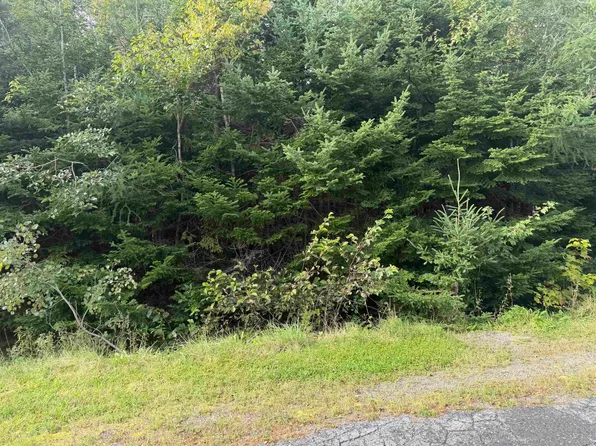 LOT 11 Schaller Dr, Sydney Forks, NS B1L 1A1