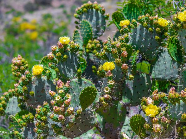 0 N Charleau Gap Rd, Oracle, AZ 85623