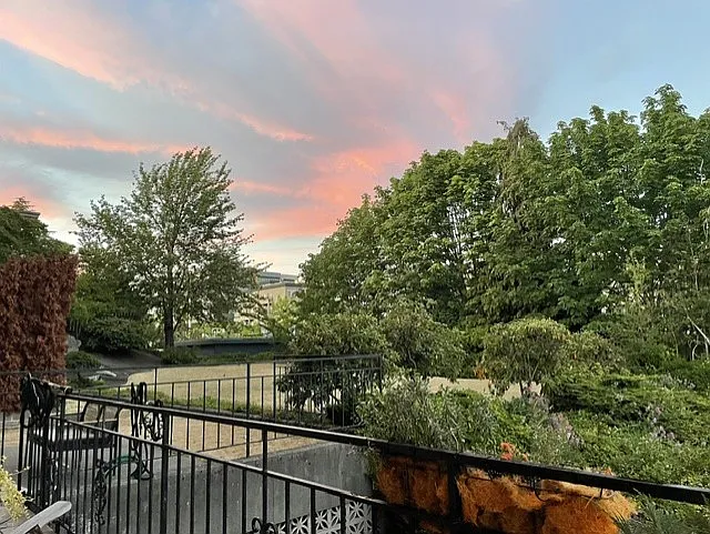 Looking north from balcony.