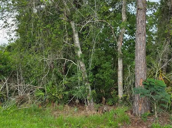 3227 Urmey Ave #13, Deltona, FL 32738