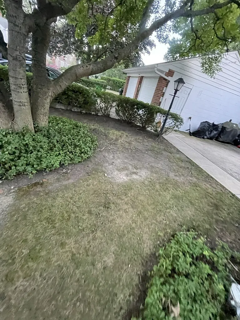3 bed, 1215 sqft, $1,900 — Photo 3