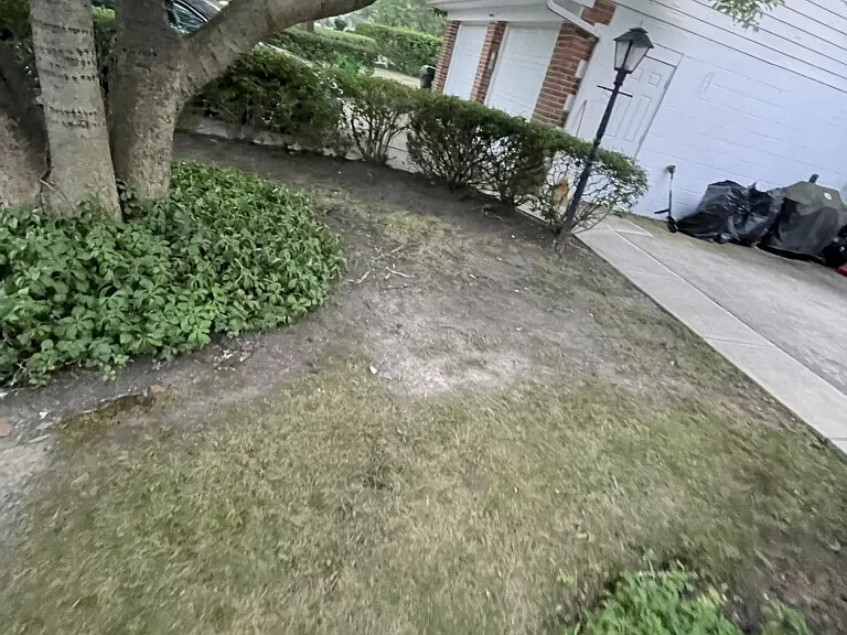 27070 Lake Shore Blvd — Photo 3