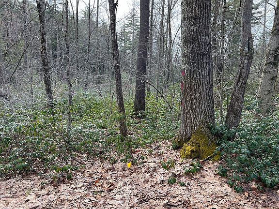 3rd image of 0 Piper Rd