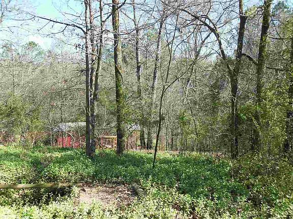 3rd image of 76 Kloosville Dr