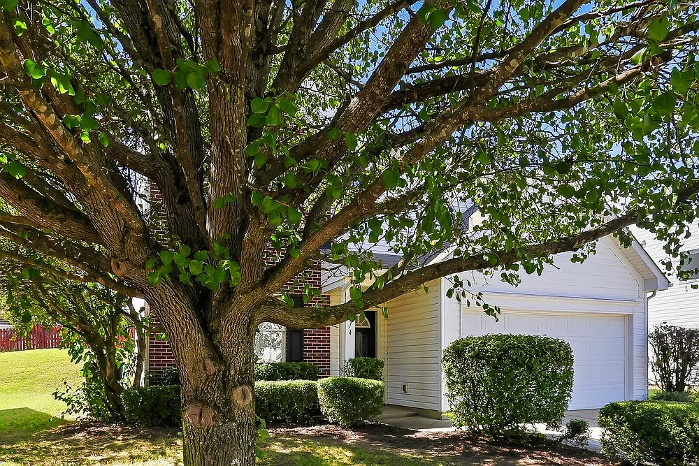 4 bed, 2.5 bath, 2200 sqft, $2,375 — Photo 4
