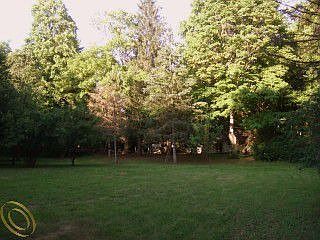 Seen a 6 pt. buck the other day