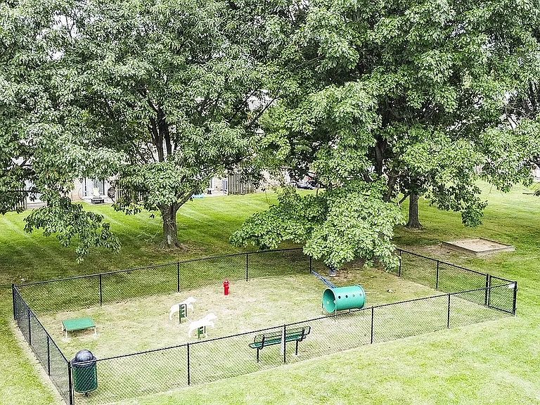 Dog Park