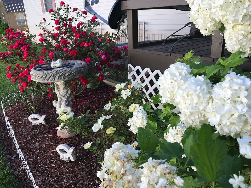 Flowers off front porch 