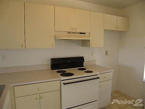4th image of 4932 Paulie Ct APT 50