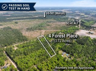 4 Forest Pl, Marion, SC 29571