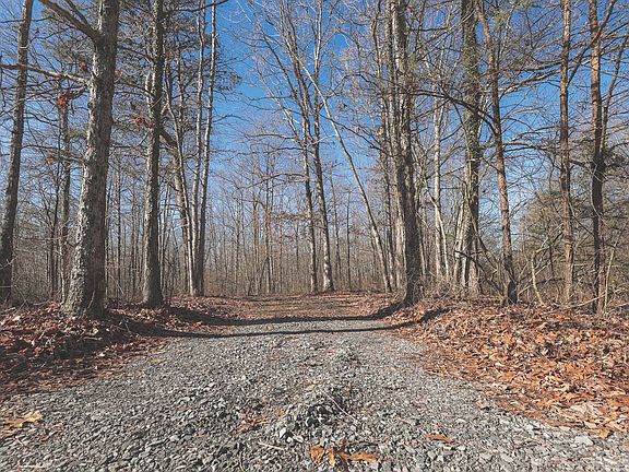 3rd image of 0 Palmer Firetower Rd