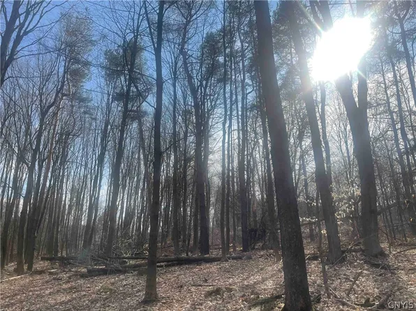 0 Harpers Ferry Rd, Springwater, NY 14560