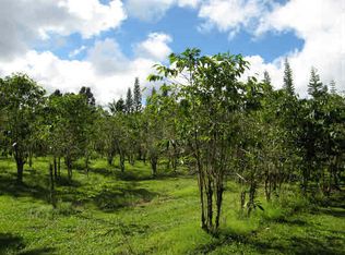 Road 1 Uhini Ana LOT 2474, Mountain View, HI 96771