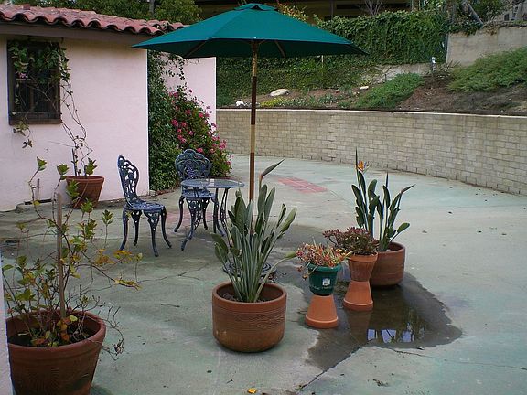 Back patio