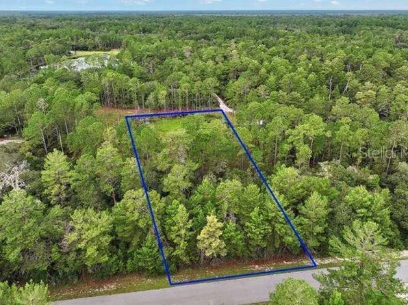 Mango St Lot 5, Eustis, FL 32736