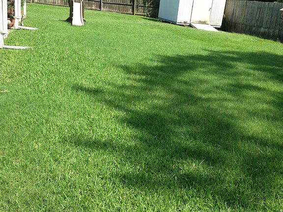 Back yard and shed