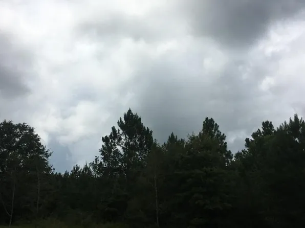 0 Brushy Creek Rd, Range, AL 36473