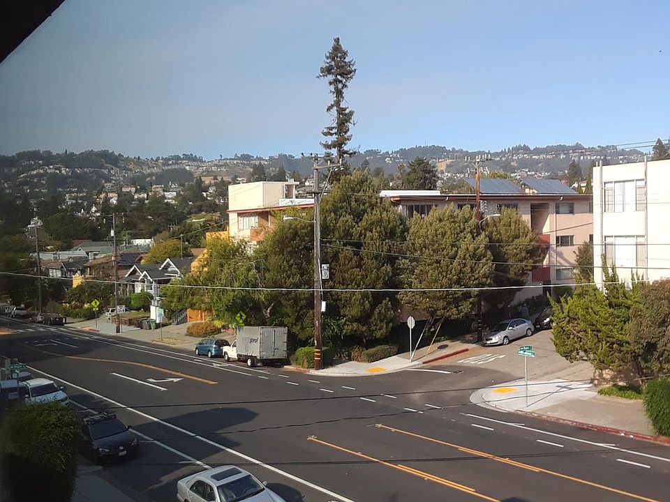 Berkeley Hills View from Apartment 204