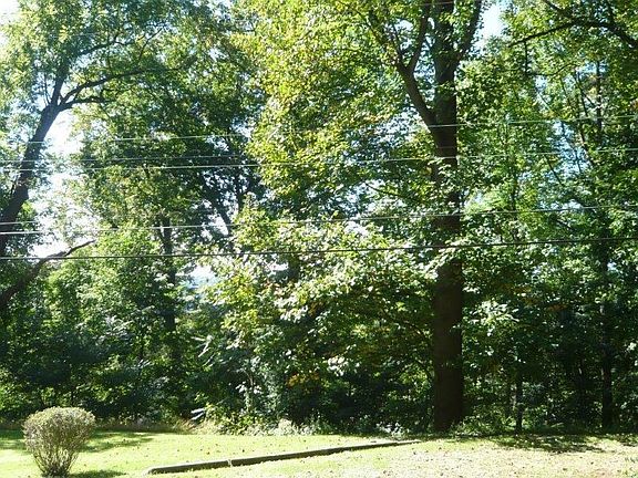 This is your view across from the house.  This land is part of the property and has a small storage shed.
