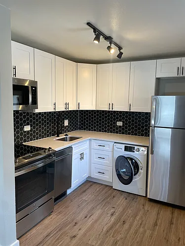 1020 N Ogden St #204 Photo 1