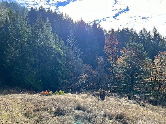 2nd image of 22721 Eastside Road