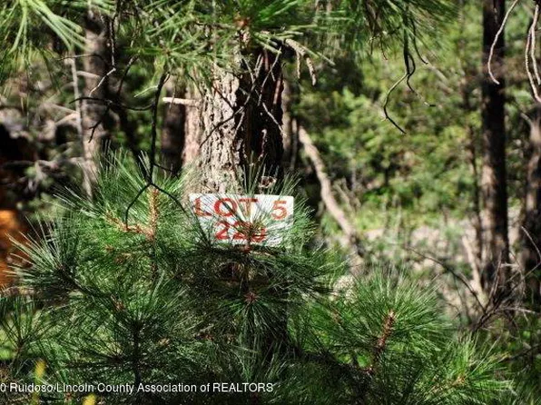 220 Cummings Dr, Ruidoso, NM 88345