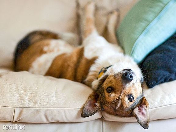 You and your pet will be so happy at Crystal View!
