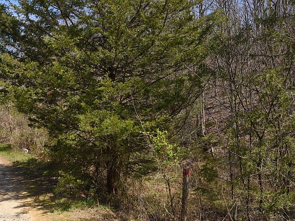 3rd image of 912 Cooley King Rd