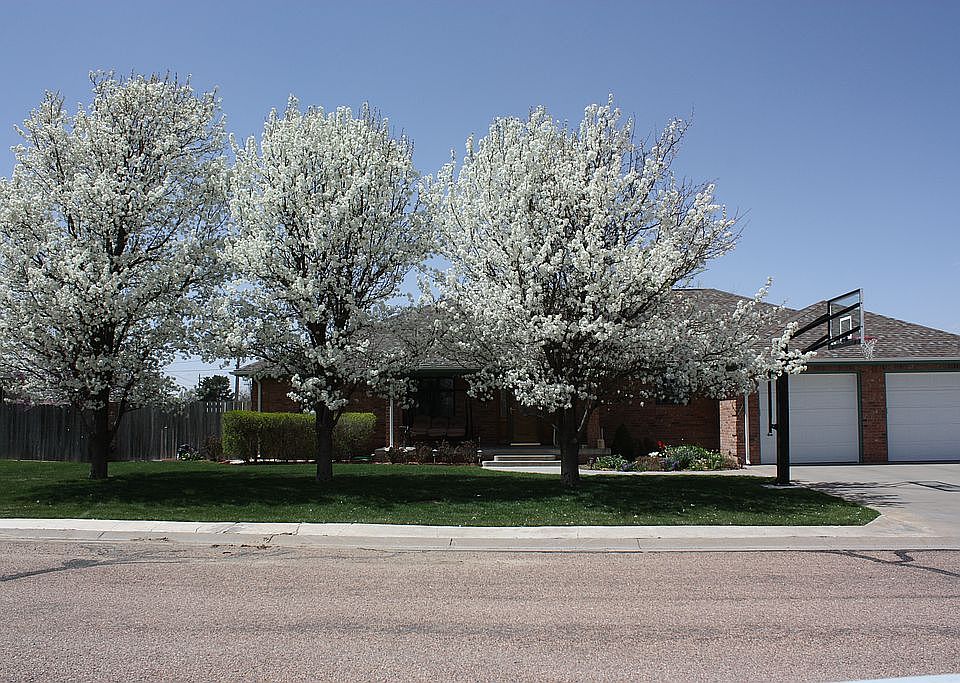 1st image of 513 S Jayhawk Ave