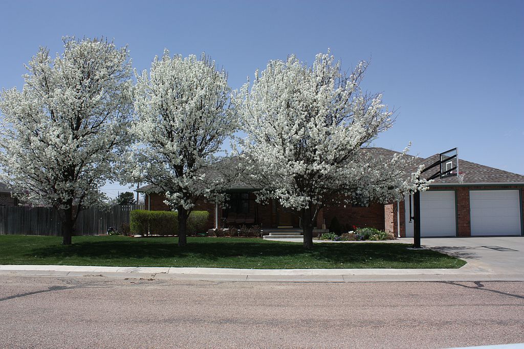 513 S Jayhawk Ave - Property Image