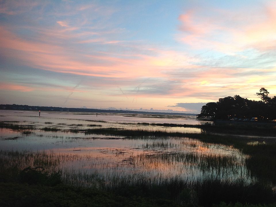 View from deck