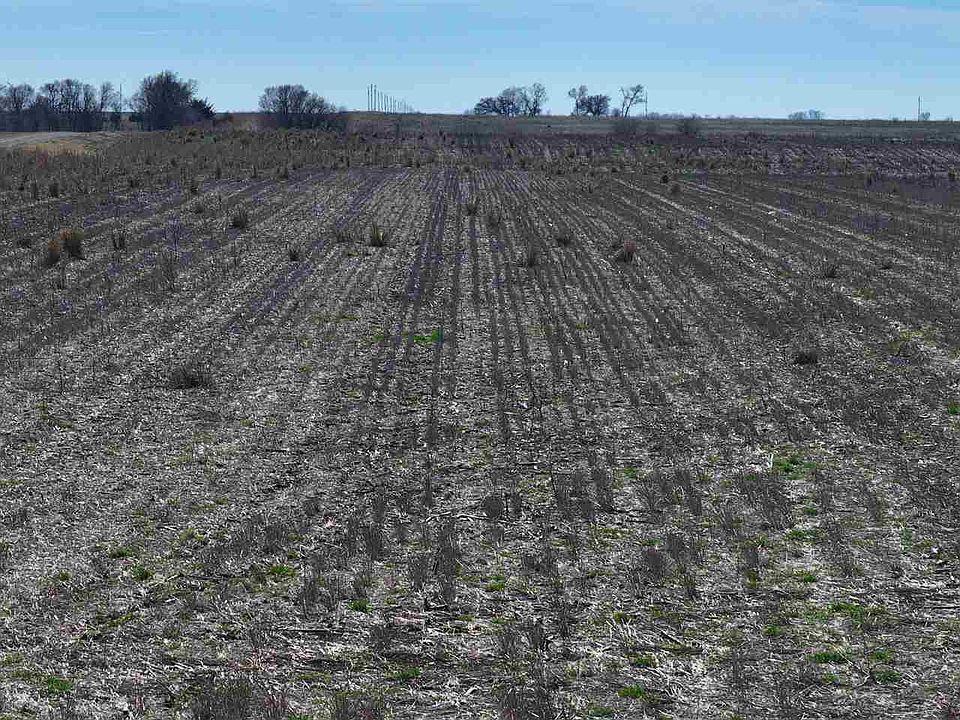 1st image of Leflore