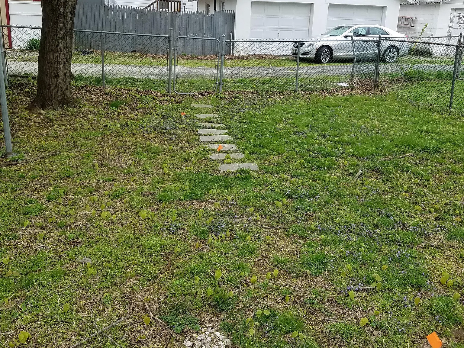 420 Ash Street - 1 — Photo 3