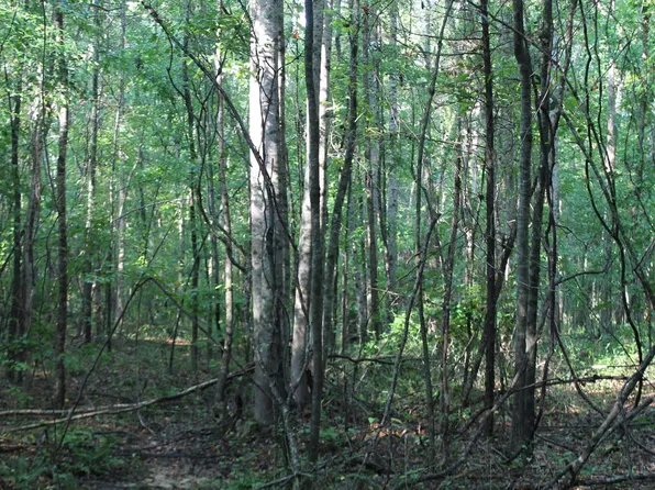 County Road 2051, Booneville, MS 38829