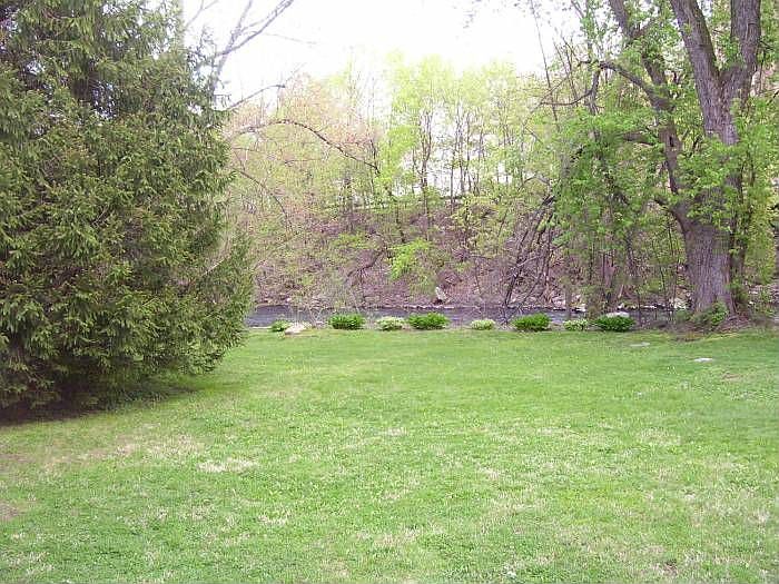 back yard