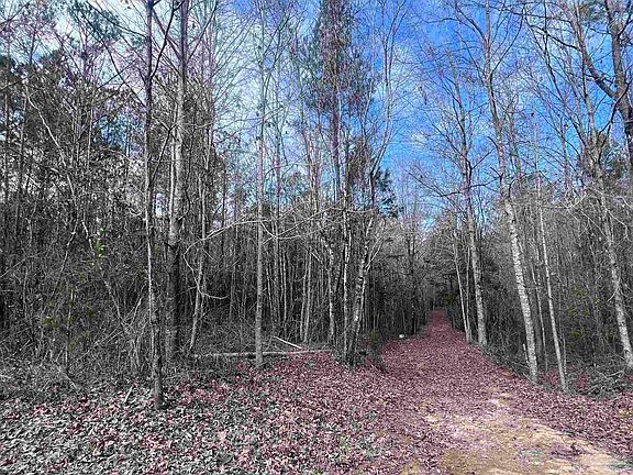 2nd image of 0 Mixonville Rd