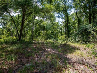 LOT 170th Ln, O'Brien, FL, 32071