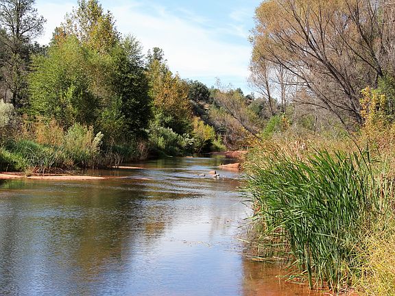 Oak Creek In Your Back Yard