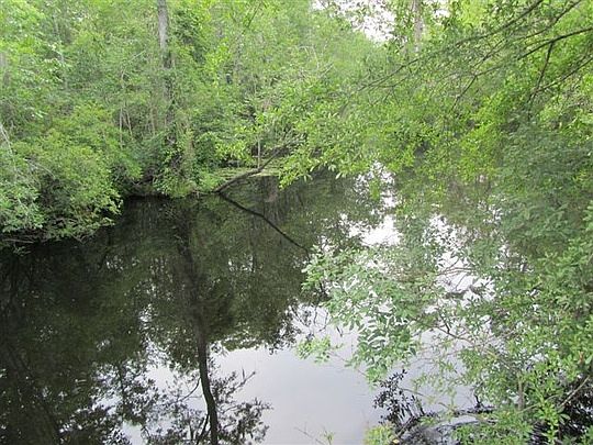 2nd image of 532 Carl Meeks Rd