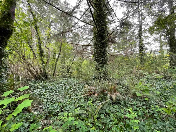 54 Del Norte Way, Klamath, CA 95548