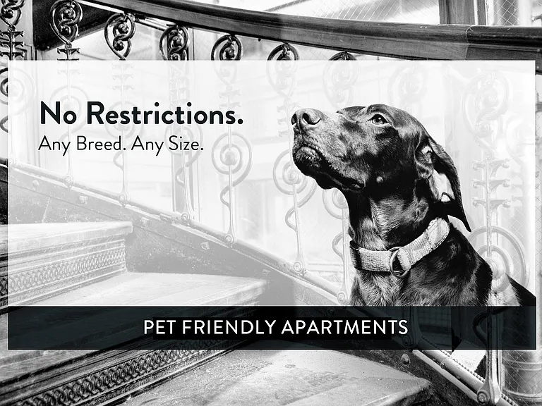 Blair Place, St Paul, Pet Friendly