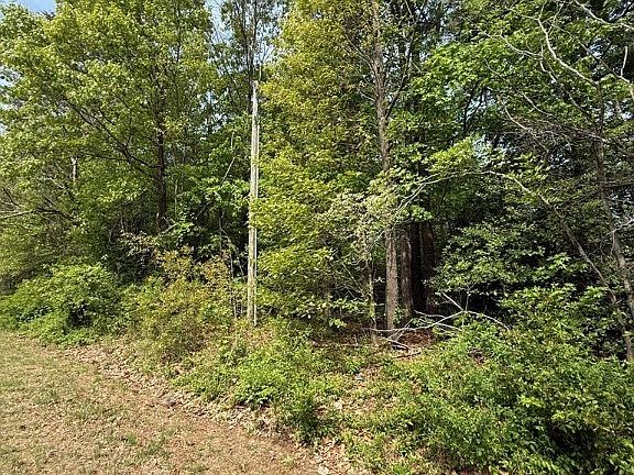 4th image of 80 Doggett Ln Lot 1