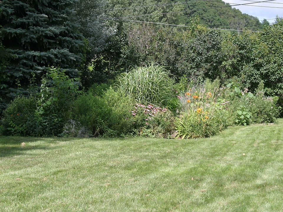 Perennials