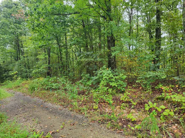 6 Strawberry Gables Gables Lot 6, Holladay, TN 38341