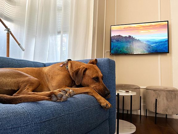 Curl up with your best friend! Pets Welcome!