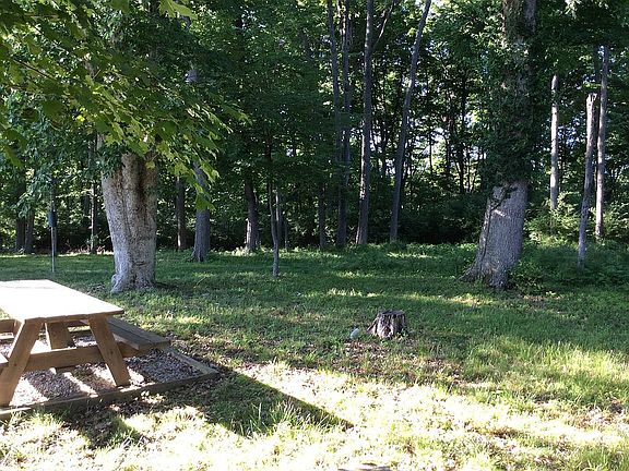 Adjoining Forested Property