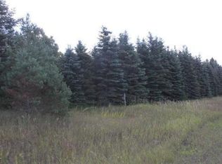 S 37th Rd, Cadillac, MI 49601